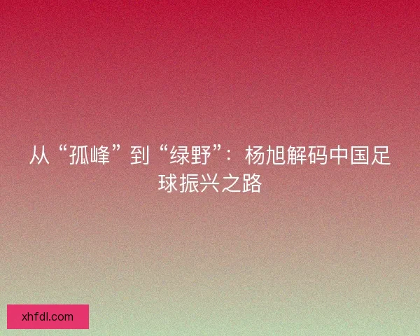 从 “孤峰” 到 “绿野”：杨旭解码中国足球振兴之路